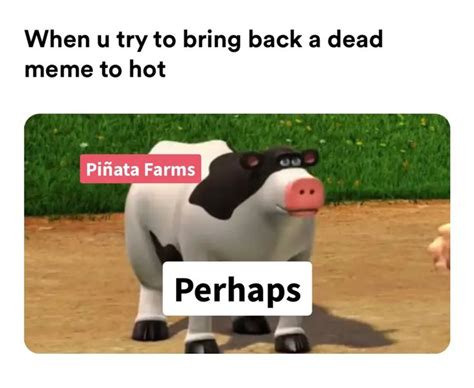 perhaps meme|More.